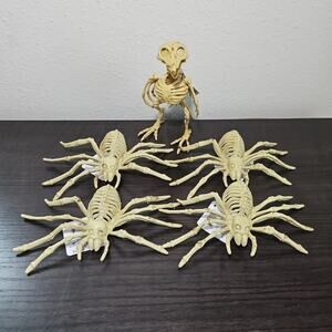 5 Halloween Plastic Skeleton Decorations Spider Bird